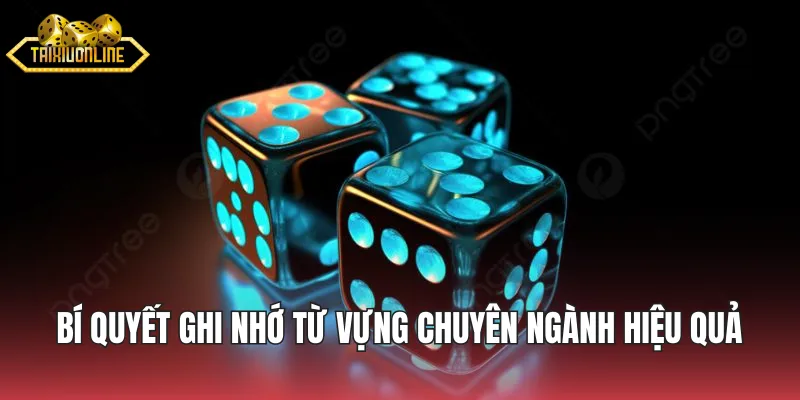 Bí quyết ghi nhớ từ vựng chuyên ngành hiệu quả